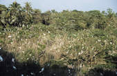 tkf003_351530