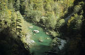 tkf003_352006