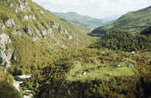 tkf003_352008