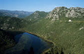 tkf003_352009