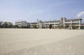 tkf003_354075