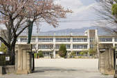 tkf003_354123