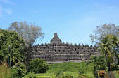 tkf003_377085