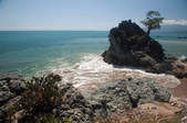 tkf003_406841