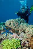 tkf003_407895