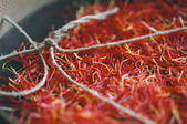 tkf003_440408