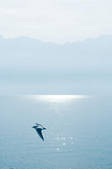 tkf003_440936