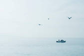 tkf003_440938