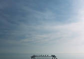 tkf003_440986