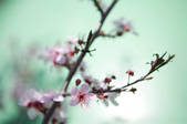 tkf003_446744