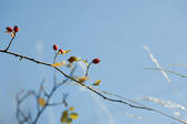 tkf003_447207