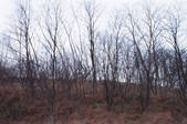 tkf003_447459