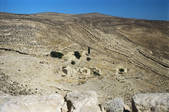tkf003_447655