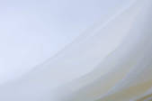 tkf003_448643