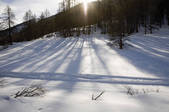 tkf003_464504