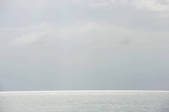 tkf003_470606