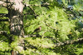 tkf003_478067