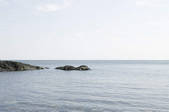 tkf003_478146