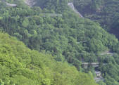 tkf003_524929