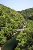 tkf003_525186