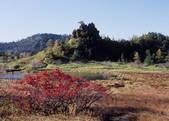 tkf003_525349