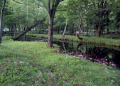 tkf003_525444