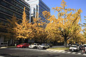 tkf003_526416