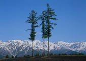 tkf003_527984