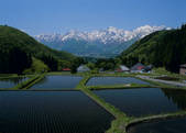 tkf003_527986