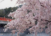 tkf003_533741