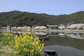 tkf003_534807