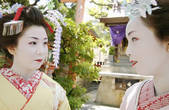 tkf003_537111