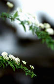 tkf003_538043