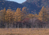 tkf003_540111