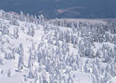 tkf003_540127