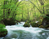 tkf003_540148