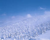 tkf003_540198