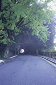 tkf003_541094