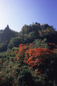 tkf003_541099