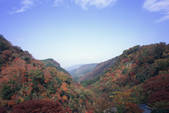 tkf003_541105