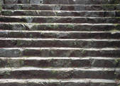 tkf003_541187
