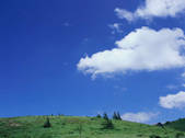 tkf003_544324