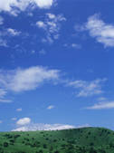 tkf003_544327