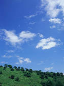 tkf003_544328