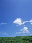 tkf003_544331
