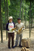 tkf003_546004