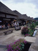 tkf003_546268