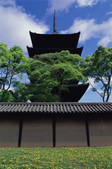 tkf003_546581
