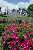 tkf003_546643