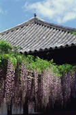 tkf003_546644
